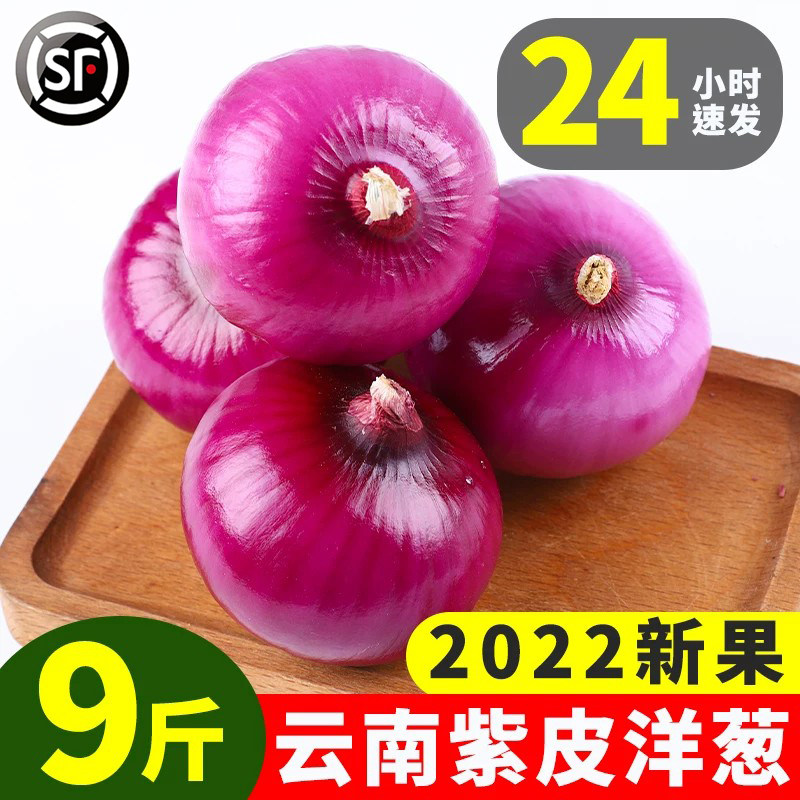 紫皮洋葱新鲜甜当季蔬菜