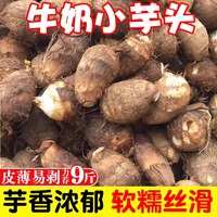 山東牛奶小芋頭香甜軟糯現(xiàn)挖現(xiàn)發(fā)