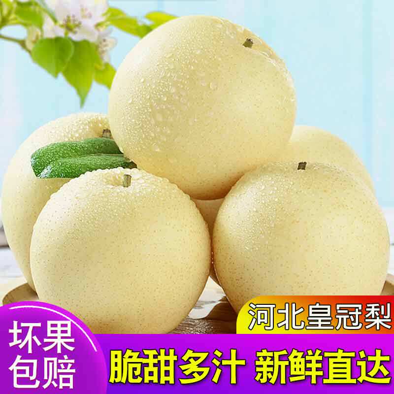 皇冠梨河北正宗农产品种植不打农药激素皮薄脆甜可口