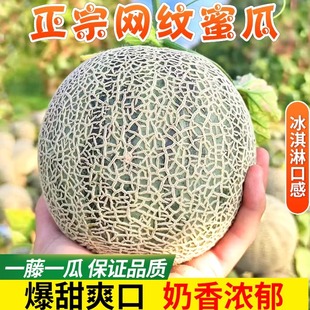 正宗海南网纹瓜当季新鲜甜瓜5斤哈密瓜玲珑冰淇淋奶香密瓜脆甜10