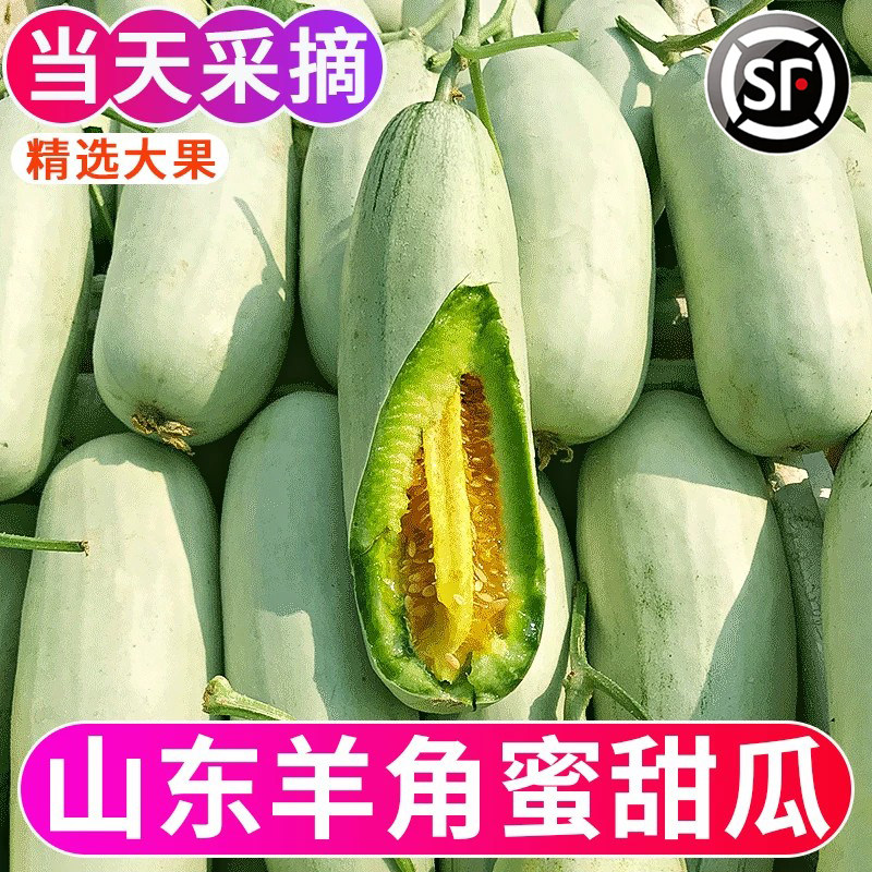 山东羊角蜜5斤水果新鲜甜瓜当季整箱包邮小密瓜香瓜蜜瓜羊角脆甜
