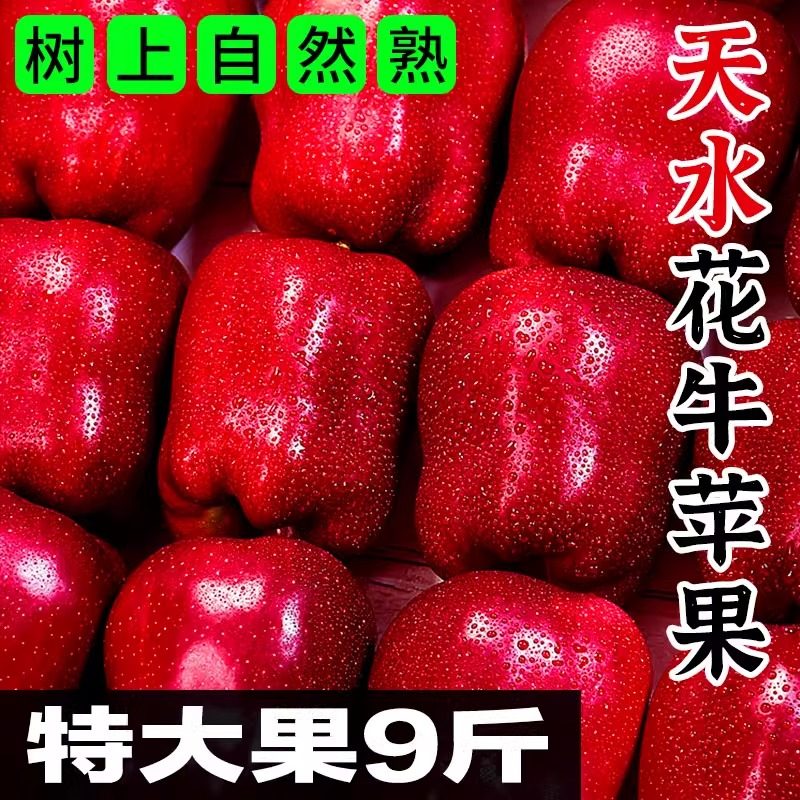 甘肃天水花牛苹果9斤当季新鲜水果应季红皮果5粉面孕妇正宗整箱10,水产肉类/新鲜蔬果/熟食,苹果,淘宝优惠券,粉丝福利购,淘宝优惠卷