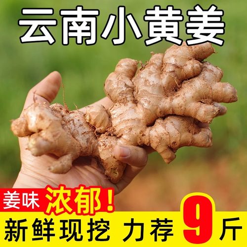 新鲜10斤农家食用包邮云南小黄姜