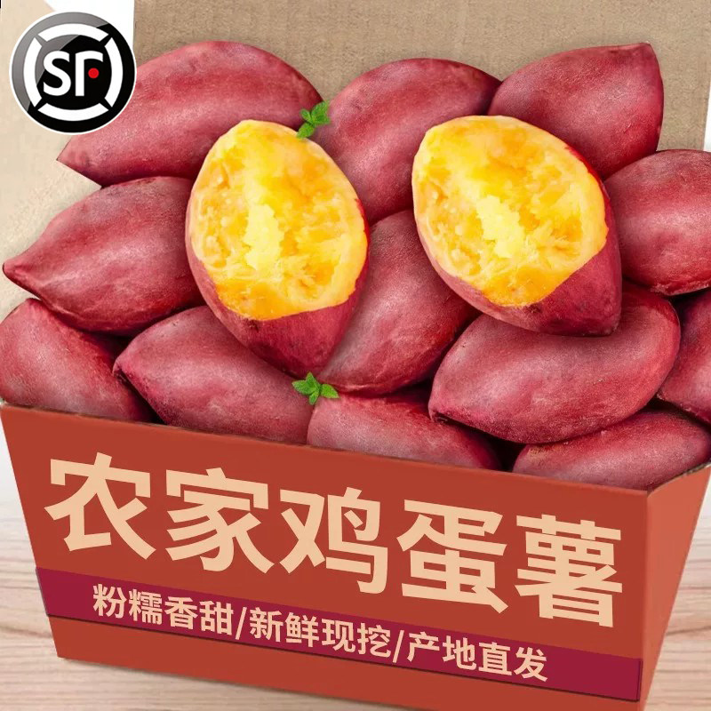 【现挖现发】新鲜鸡蛋薯力荐9斤