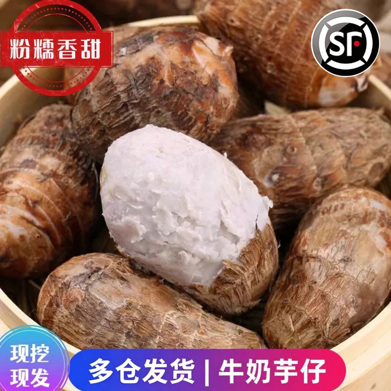 山东牛奶小芋头9斤山地毛芋仔非广西荔浦蔬菜红芽芋芋艿新鲜香芋1
