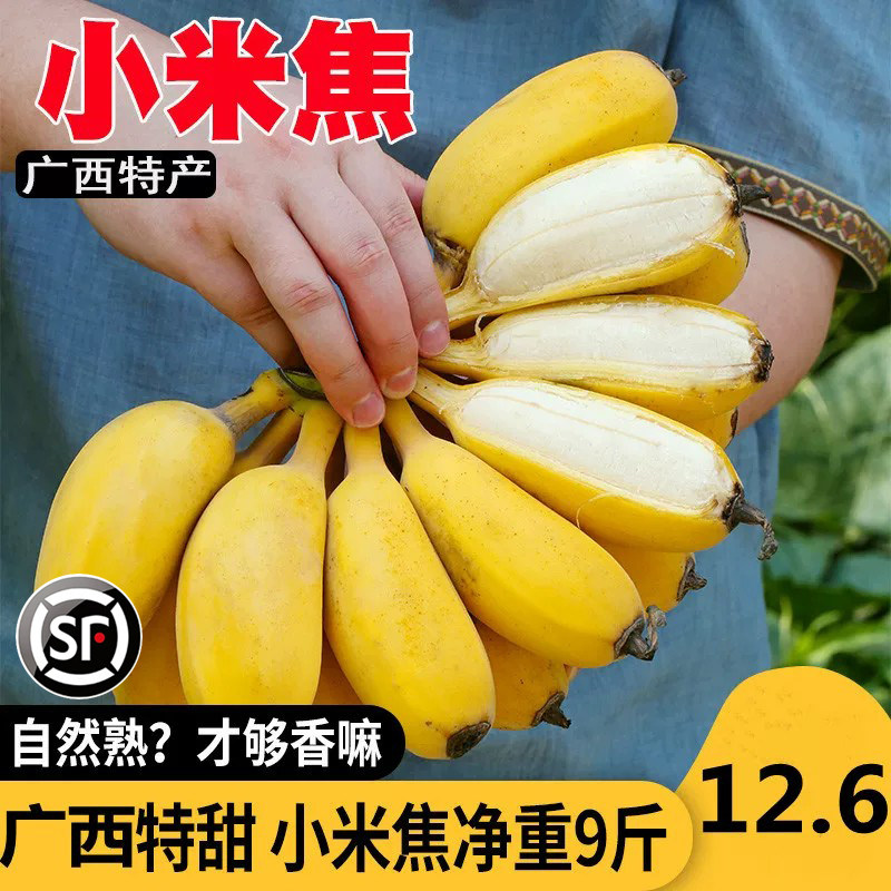 广西正宗小米蕉香蕉新鲜苹果