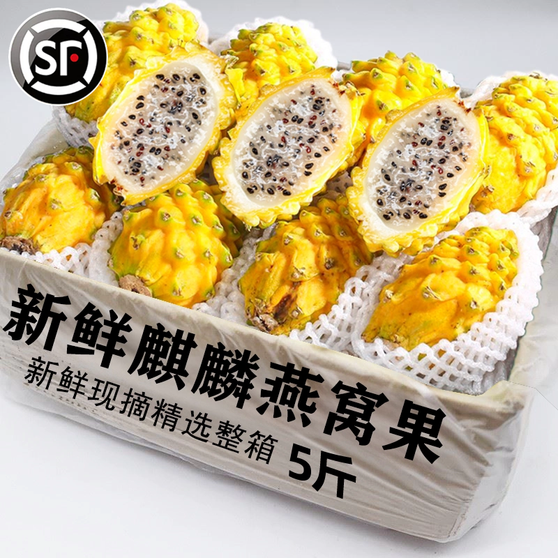 【5斤大果礼盒装】海南燕窝果新鲜麒麟果黄火龙果现摘顺丰包邮7
