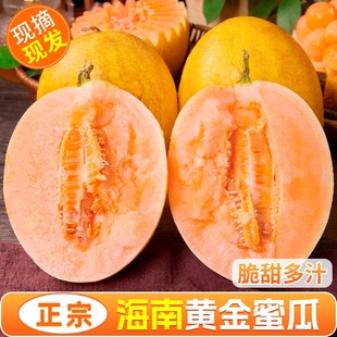 黄金蜜瓜9斤整箱黄金冰糖香瓜时令当季新鲜水果甜瓜伊丽莎白黄皮1