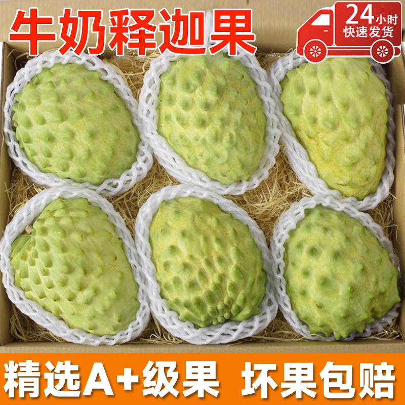 新鲜凤梨牛奶当季水果整箱