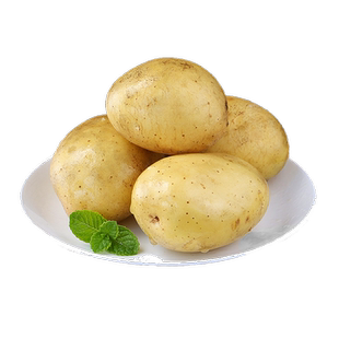 甘肃定西土豆 现挖高山白心小洋芋粉糯面沙马铃薯9斤新鲜农家特产