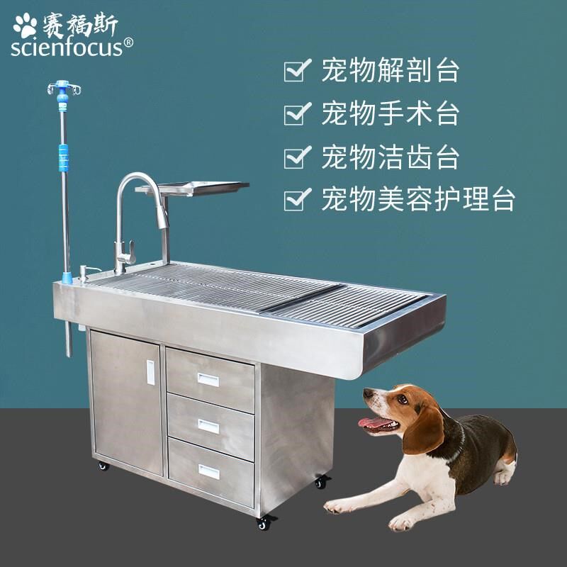 赛福斯动物处置台狗狗洁齿不锈钢解剖猫清L洁护理美容桌宠物手术