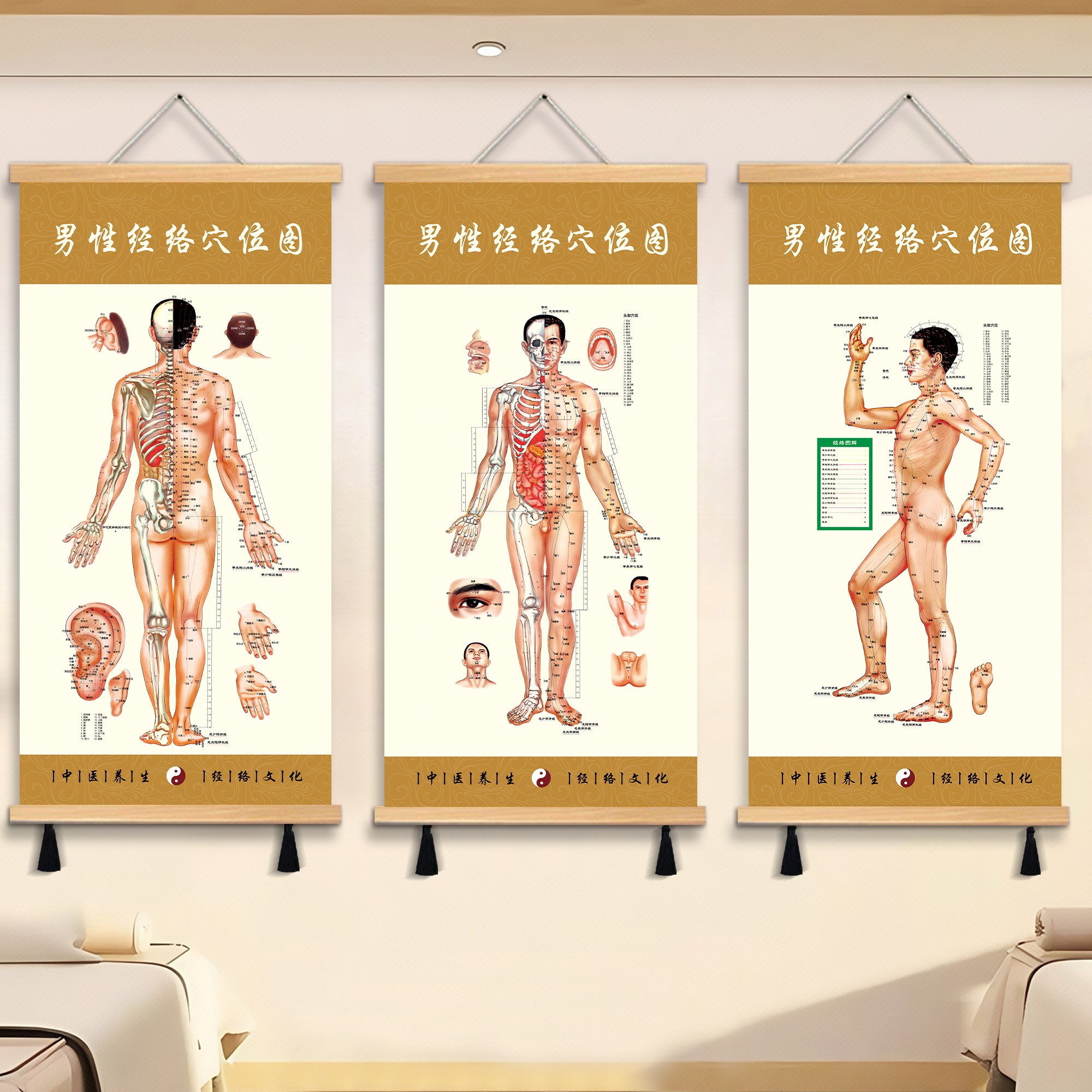 人体经络穴位标准大图挂画