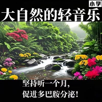 大自然纯音乐白噪音减压疗愈流水声滴水声鸟鸣声乐助眠MP3