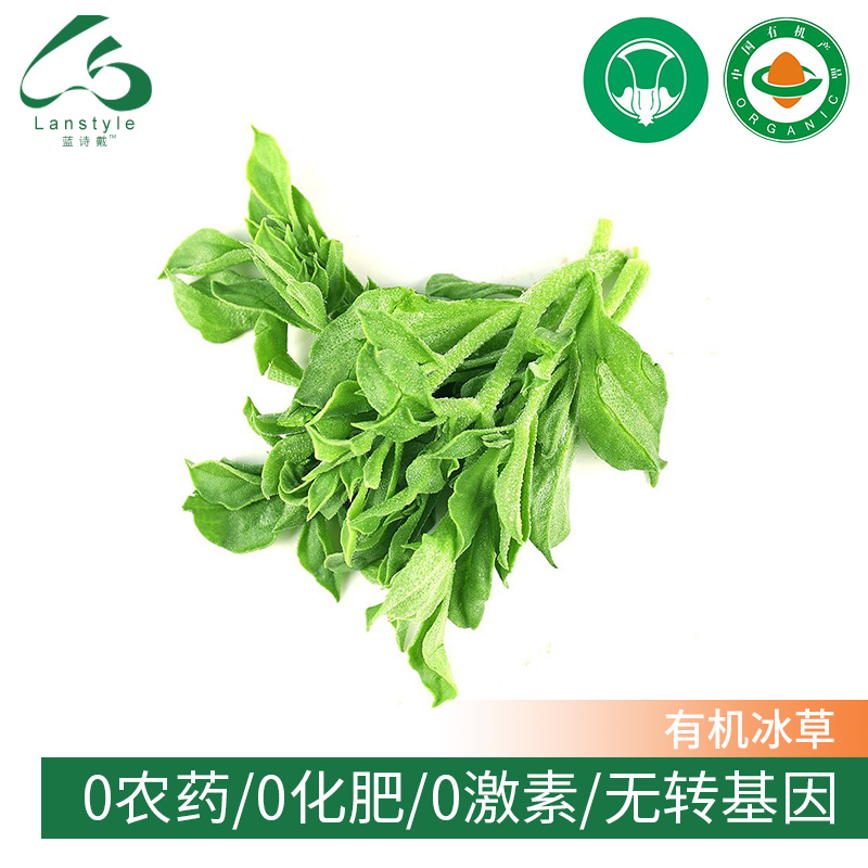 藍詩戴新鮮有機蔬菜當季時令有機冰草350g現采現發在類目 水產肉類/新鮮蔬果/熟食, 新鮮蔬菜/蔬菜製品, 新鮮蔬菜, 其它中 - 來自Buy2taobao.com提供專業的淘寶代購服務