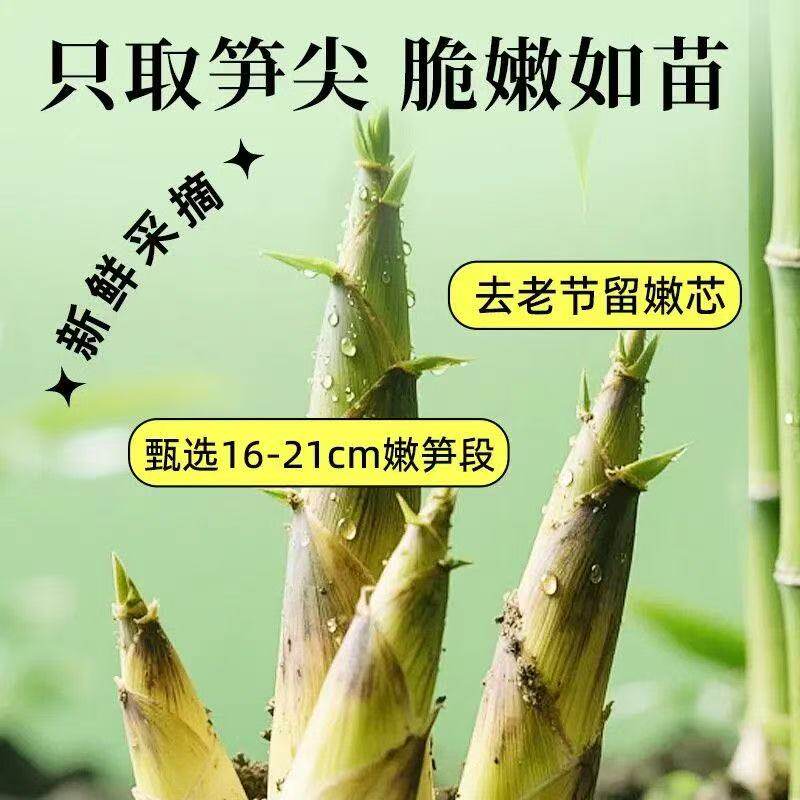 广雅乐安清汁笋500G高山采摘嫩小笋清水锁鲜笋尖家用食材
