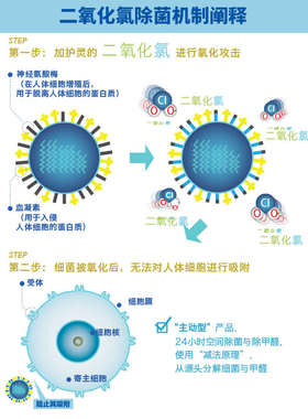 加护灵Cleverin空间除菌清除剂去除甲醛新房家用除味神器60g5件装