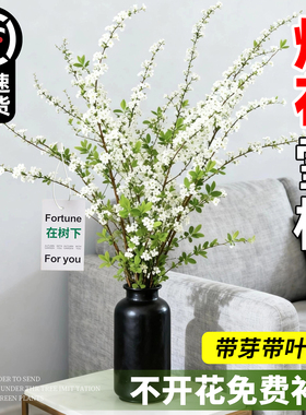 雪柳鲜枝带芽花苞水培植物干枝水养插花室内盆栽花卉龙柳鲜切干支