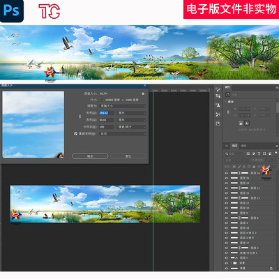 游禽涉禽陆禽手绘森林长卷大海江河湖泊科普大自然栖息地背景素材