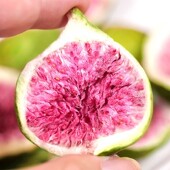 新鲜货冻干无花果干无花果脆果蔬脆脱水果干孕妇即食泡茶烘培原料