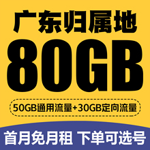 广东深圳广州佛山东莞珠海茂名移动手机电话卡低月租4G流量上网卡