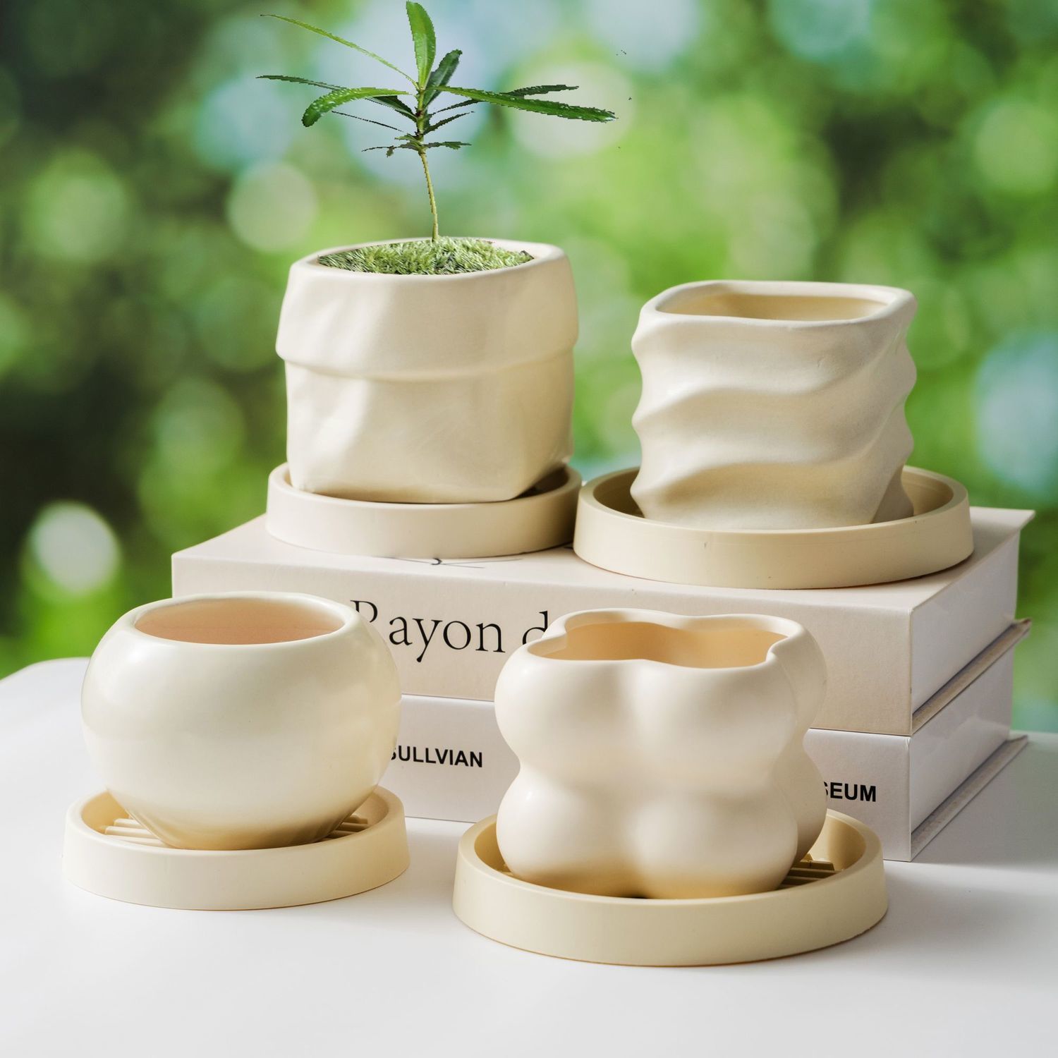简约陶瓷花盆家用ins奶油风北欧轻奢蝴蝶兰梦香兰多肉绿植盆景盆