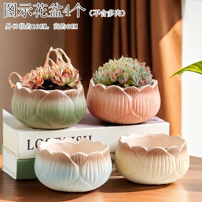 莲花小群生多肉花盆大口径陶瓷手绘桌面装饰简约创意透气粗陶彩绘