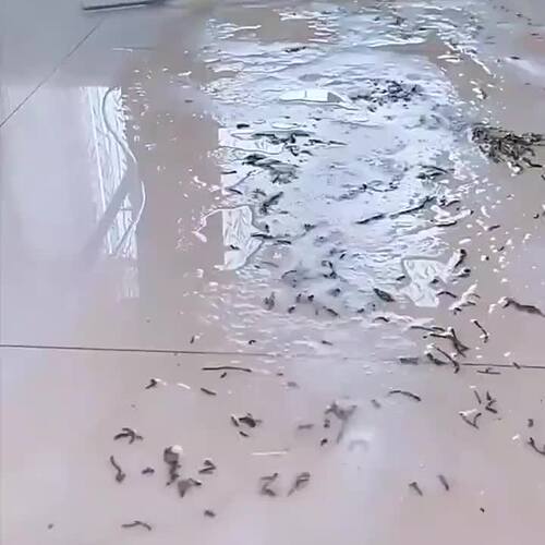 150厘米加长伸缩杆魔术扫