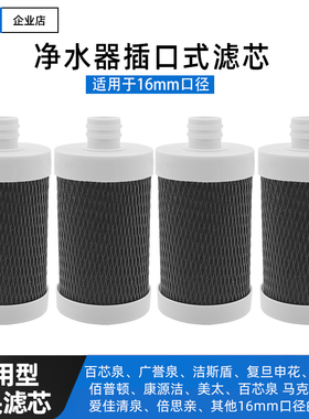 不锈钢龙头净水器陶瓷活性炭滤芯