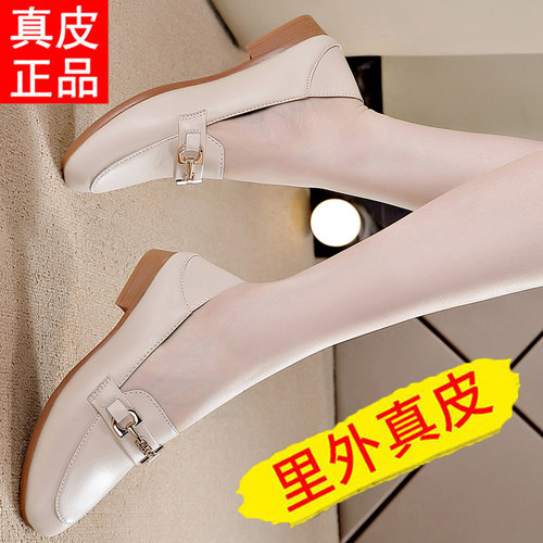 达夫尼雪地棉价格 达夫尼雪地棉图片 星期三