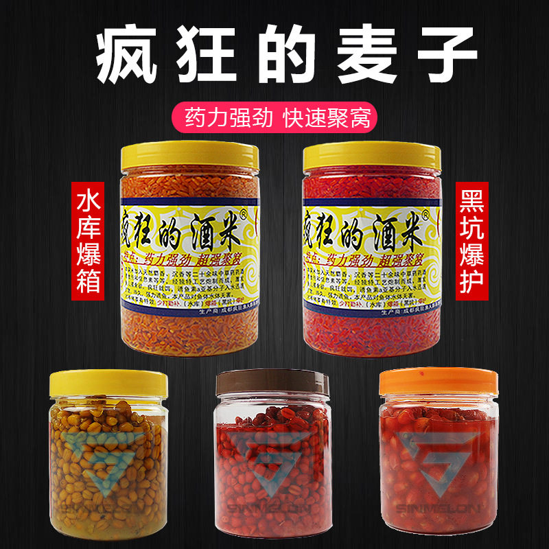 棒锤儿疯狂的酒米麦子玉米打窝米煮熟的钓麦子中药泡酒窝料打底