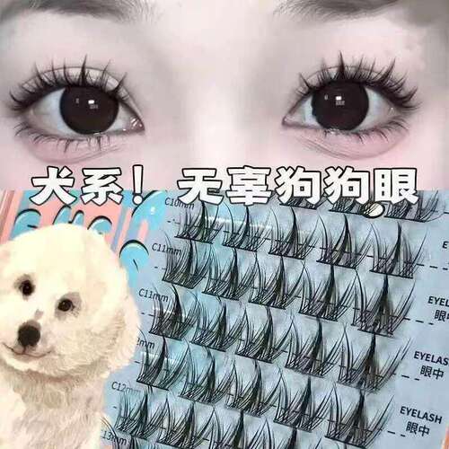 犬系假睫毛无辜狗狗眼睫毛漫画芭比自然三部曲分段式单簇新手