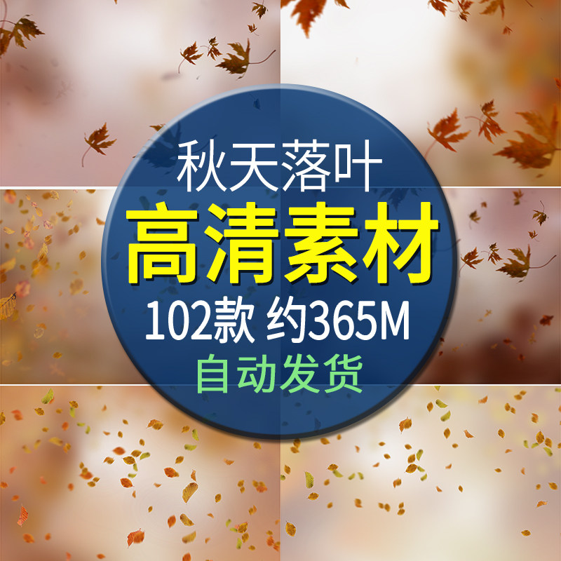 唯美秋天落叶人像摄影前景虚化飞溅枫叶飘落png后期溶图叠加素材