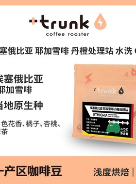 埃塞俄比亚 耶加雪菲 丹橙处理站G1水洗原生种手冲咖啡豆黑美式