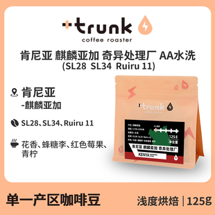 肯尼亚麒麟亚加奇异处理厂AA水洗手冲精品浅度烘焙美式黑咖啡豆