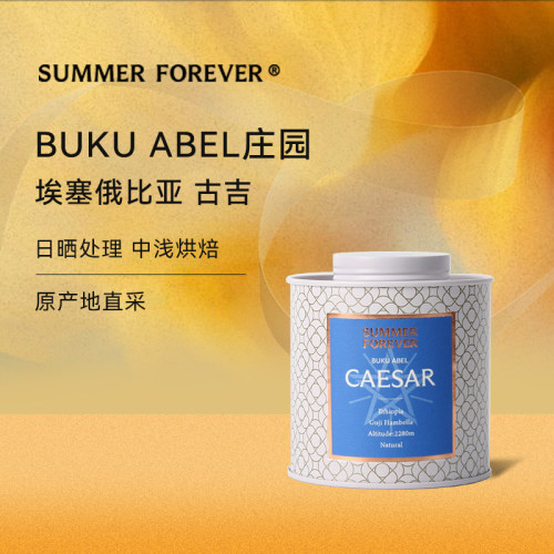 永夏｜凯撒咖啡豆 埃塞俄比亚古吉日晒中浅烘手冲咖啡豆 120g
