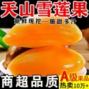 包邮 现货 2025年雪莲果云南天山黄肉雪莲果新鲜水果脆甜多汁9斤