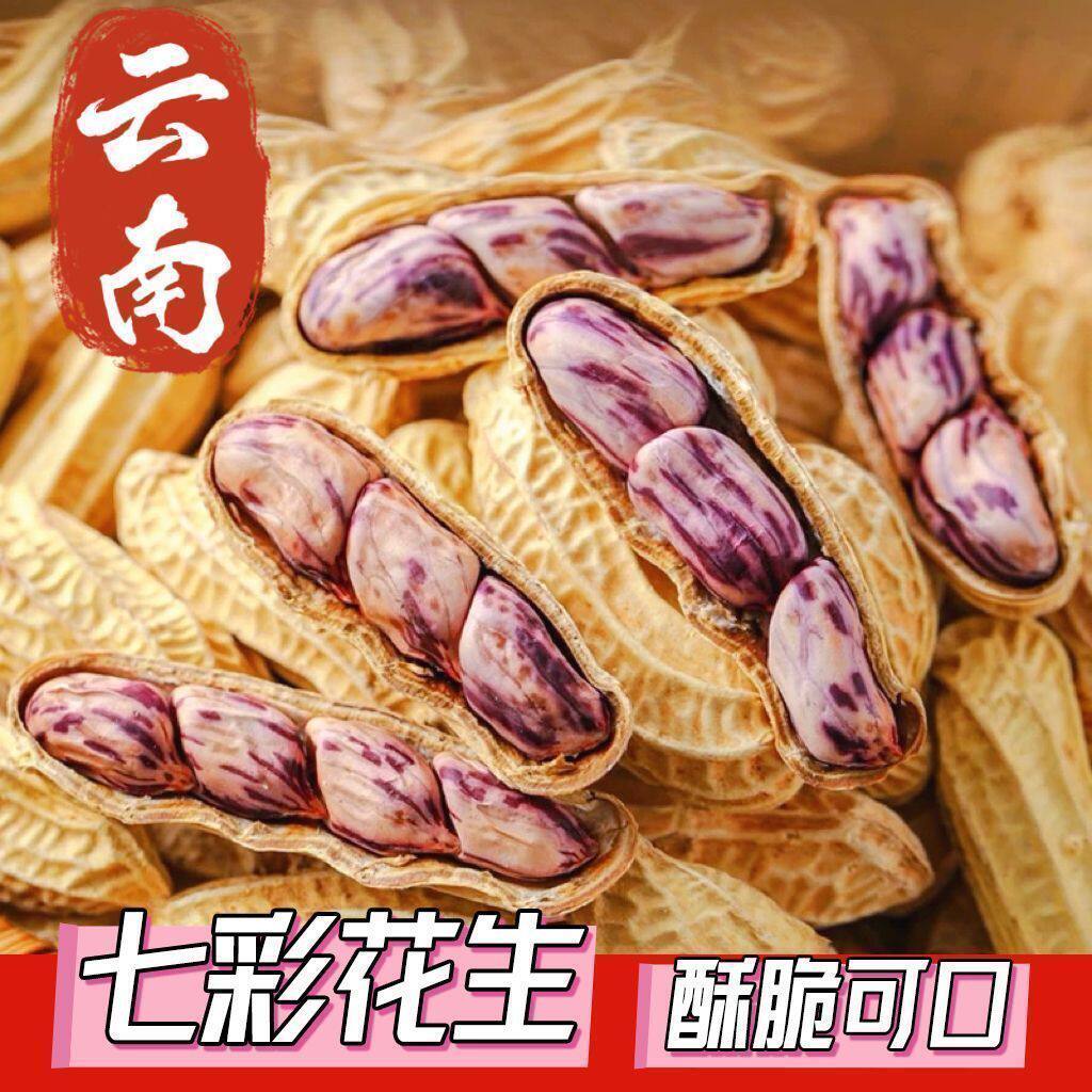 】带壳七彩生花生新货新鲜晒干