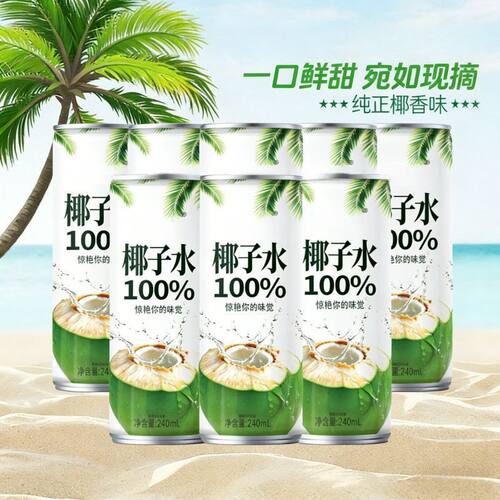 100%椰子水240ml/罐果汁饮料