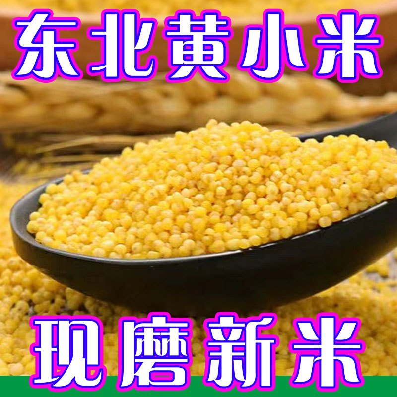 东北黄小米新米5斤小米