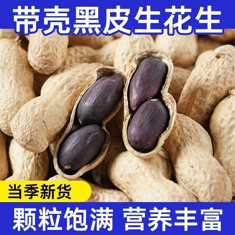 250g/袋生带壳黑花生新货