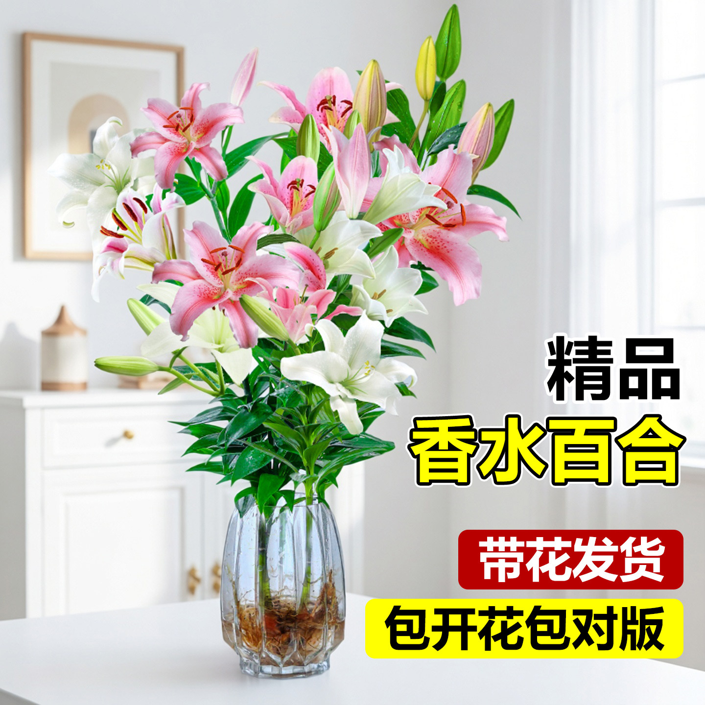 百合鲜花水培植物香水百合花盆栽带花苞花卉植物室内桌面花好养活