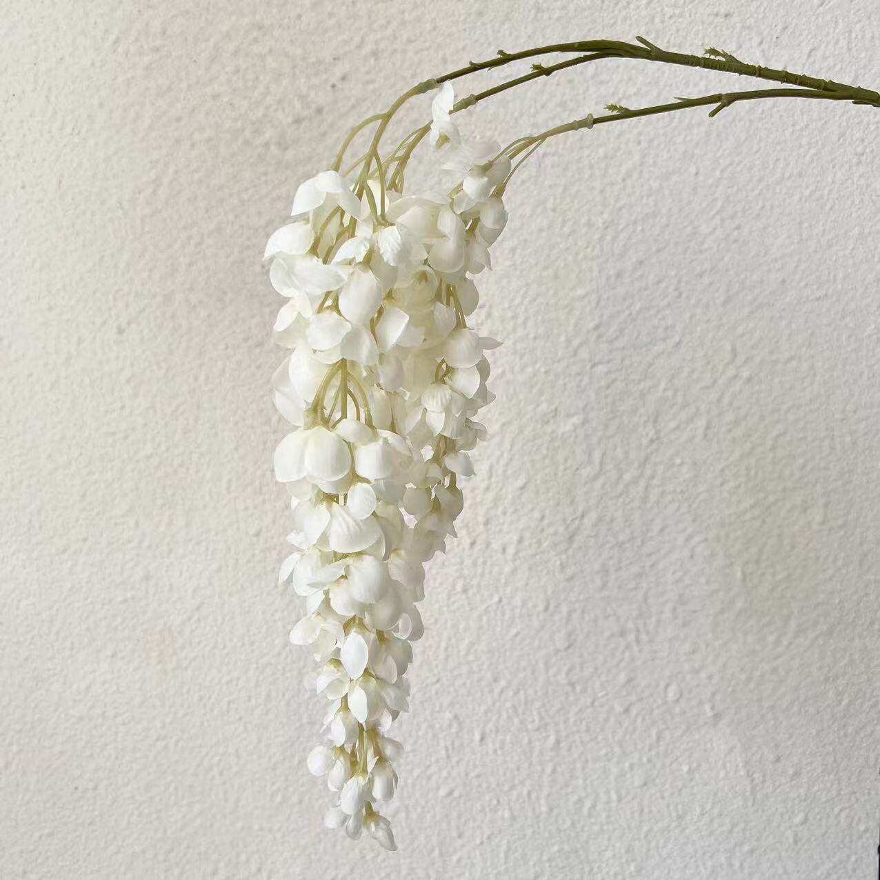 阿勃勒兰花紫藤花清新家