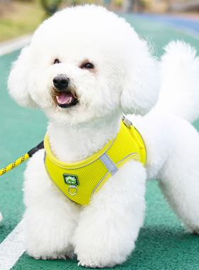 背心式小型犬狗狗牵引绳比熊泰迪博美小狗幼犬夏季网眼透气胸背带