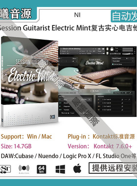 Session Guitarist Electric Mint v1.1.0复古实心电吉他音色库