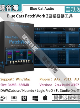Blue Cats PatchWork 2蓝猫插件桥接工具支持AAX AU VST3