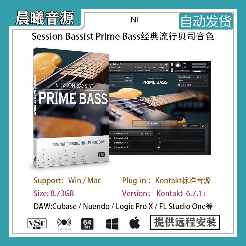 Session Bassist Prime bass经典流行贝司节奏音色PC MAC编曲音源