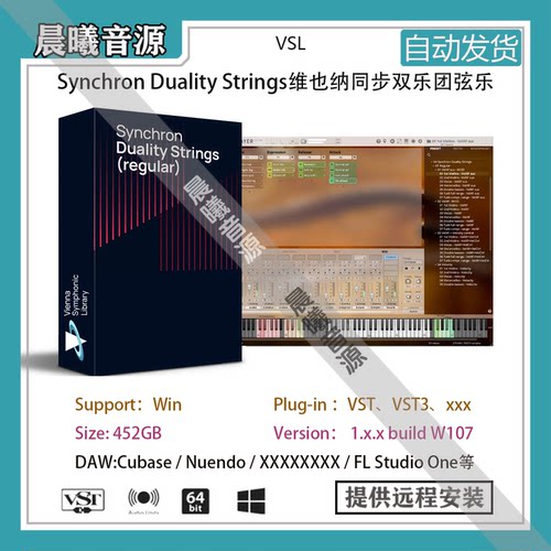 VSLSynchronDualityStrings