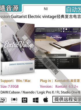 Session Guitarist Electric Vintage经典复古电吉他音色库含LOOP