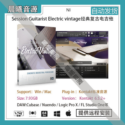 Session Guitarist Electric Vintage经典复古电吉他音色库含LOOP