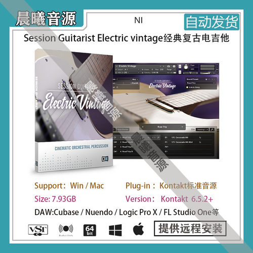Session Guitarist Electric Vintage经典复古电吉他音色库含LOOP